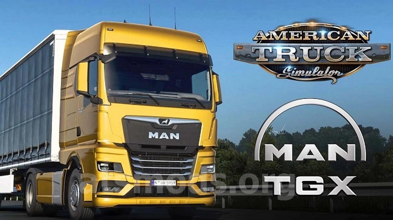 MAN TG3 TGX 2020